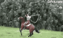 Horse Jumping GIF