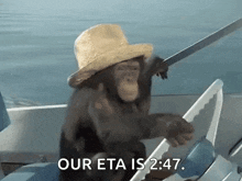 Monkey Drive GIF - Monkey Drive Boat GIFs