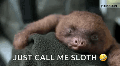 sloth tumblr meme