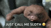 Sleepy Sloth GIF - Sleepy Sloth Adorable GIFs