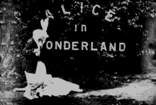 Alice In Wonderland Rabbit GIF - Alice In Wonderland Rabbit Freaky GIFs