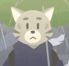 a cat is holding an umbrella and wearing a hoodie .