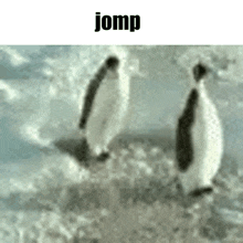 Jomp Meme GIF - Jomp Meme Memes GIFs