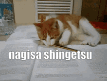 Nagisa Shingetsu Danganronpa GIF - Nagisa Shingetsu Danganronpa Ultra Despair Girls GIFs