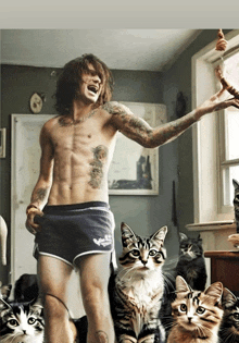 Blessthefall Beaubokan GIF - Blessthefall Beaubokan GIFs