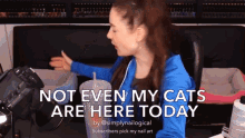 My Cats Not Here No Cats GIF - My Cats Not Here No Cats Showing GIFs