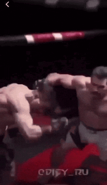two men are fighting in a boxing ring with the words cdify_ru on the bottom left