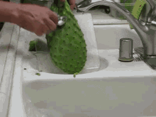 Nopales Peel GIF - Nopal Cactus GIFs