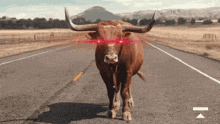 a bull with red eyes is standing on a road