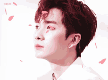 a close up of a person 's face with the word cherry on the bottom right
