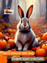 a picture of a rabbit surrounded by pumpkins and leaves in a forest