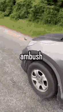 Ambush GIF - Ambush GIFs