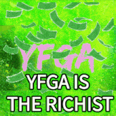 Yfga GIF - Yfga GIFs