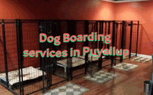 Dog Boarding Services In Puyallup GIF