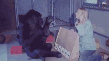 Sign Language Koko GIF - Sign Language Koko Watch Koko The Gorilla Use Sign Language In This1981film GIFs
