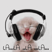 a kitten wearing headphones with its mouth open and a microphone .