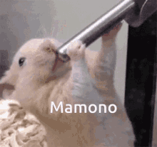 Mamono GIF - Mamono GIFs