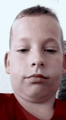 a young boy wearing a red shirt looks at the camera
