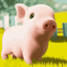 Cute Pig Pink Pig GIF - Cute Pig Pink Pig Blink GIFs