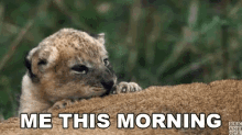 Me This Morning Morning GIF - Me This Morning Morning Early GIFs