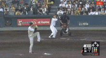 甲子園球場 高校　野球 GIF - Baseball Koshien Highschool GIFs