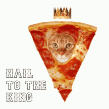 Pizza Cat GIF - Pizza Cat Crowned GIFs