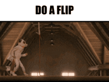 a picture of a cat in an attic with the words do a flip