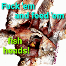 fuck em and feed em fish heads forget about it dont worry life is too short not to worry