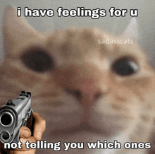 a picture of a cat with a caption that says i have feelings for u