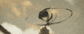 a black object is flying through the air in a cartoon style .