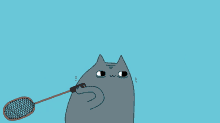 cats badminton