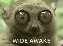 sleep awake