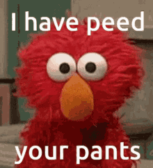 Elmo Pee GIF - Elmo Pee Pants GIFs