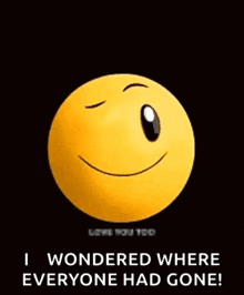 a smiley face is smiling and says `` i wondered where everyone had gone '' .