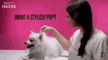 Want A Stylish Pup Stylish Puppy GIF - Want A Stylish Pup Stylish Puppy Puppy GIFs