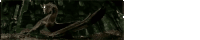 a skeleton is laying in the mud in the dark .