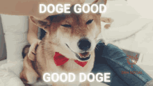 Good Doge Doge Coin GIF - Good Doge Doge Coin Doge Meme GIFs