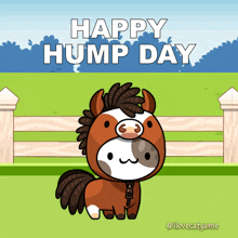 Happy Wednesday Hump Day GIF - Happy Wednesday Wednesday Hump Day GIFs