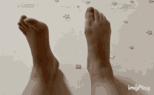 Foot GIF - Foot GIFs