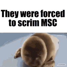 Msc Lol GIF - Msc Lol They Were Forced GIFs