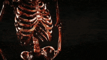 Cigar Skeleton GIF - Cigar Skeleton GIFs