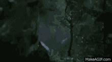 a red car with the number 3607 on the side is in the woods at night