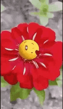 Love You Emoji GIF - Love You Emoji Flower GIFs