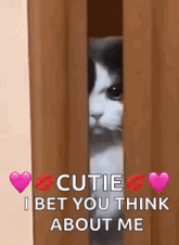 a cat is peeking out from behind a door and saying cutie i bet you think about me .