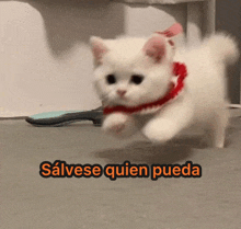a white cat wearing a red scarf is jumping in the air with the words salvese quien pueda behind it