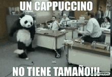 panda arrabbiato cappuccino