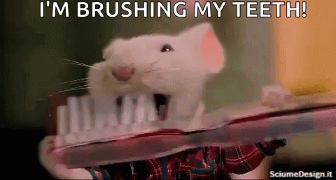 Brush My Teeth GIFs | Tenor