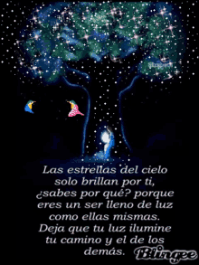 buenas noches grupo tree bird the stars of the sky only shine for you you know why you are a being yourself