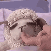 shari lewis lamb chop nose scratch with animals cute