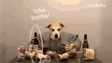 Fake Bottle The Pet Collective GIF - Fake Bottle The Pet Collective Throw GIFs